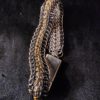 Black and Brass Wyvern's Back bracelet - Image 3